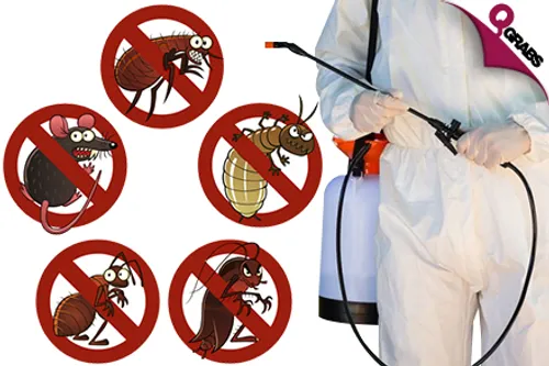 From QR150 Rid Your Home of Insects & Bedbugs with Professional Pest Control Services! (Up to QR800 Value)